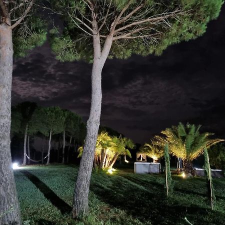 Agriturismo La Pergola Castiglione del Lago Exterior foto